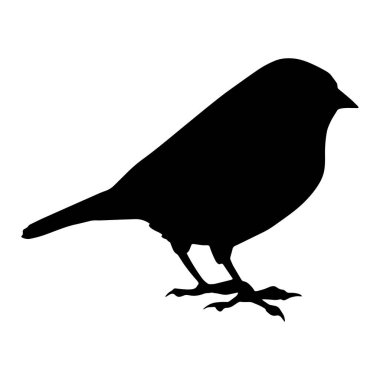 Sekiz, on bir, beş, dört, dokuz, bir, yedi, altı, on, üç, on iki,