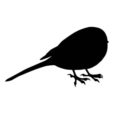 Sekiz, on bir, beş, dört, dokuz, bir, yedi, altı, on, üç, on iki,