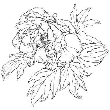 Sekiz, on bir, beş, dört, dokuz, bir, yedi, altı, on, üç, on iki,