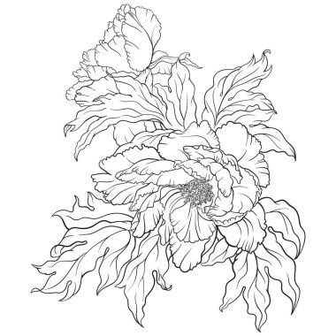 Sekiz, on bir, beş, dört, dokuz, bir, yedi, altı, on, üç, on iki,