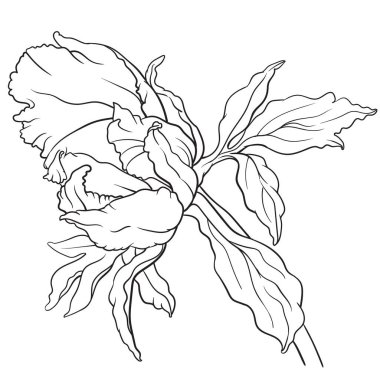 Sekiz, on bir, beş, dört, dokuz, bir, yedi, altı, on, üç, on iki,