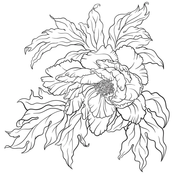 Sekiz, on bir, beş, dört, dokuz, bir, yedi, altı, on, üç, on iki,