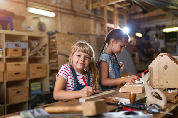 Két Fiatal Lány Csinál Faipari Műhelyekben — Stock Fotó