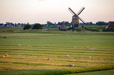 Hollanda'da geleneksel yel değirmeni