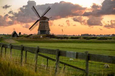 Hollanda'da geleneksel yel değirmeni