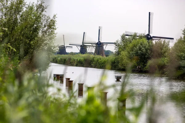 Moinhos Kinderdijk Holanda — Fotografia de Stock