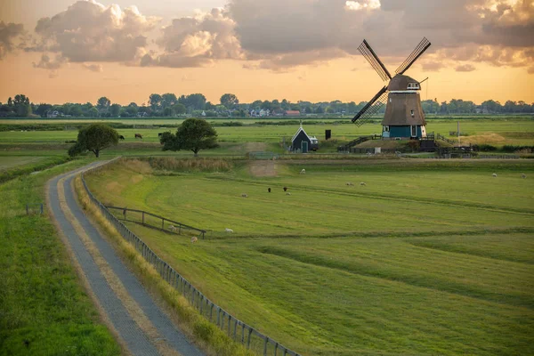 Traditionele Windmolen Nederland — Stockfoto