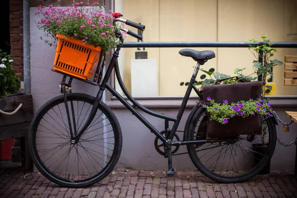 Bicycles Dutch Streets Stock Photo