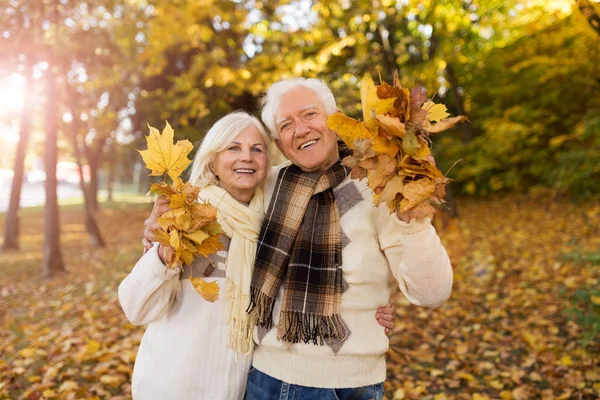 Seniorenpaar Herfstpark Stockfoto