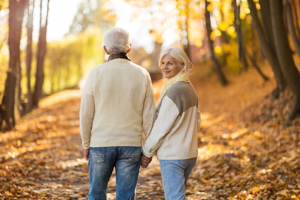 Couple Sénior Dans Parc Automne — Photo