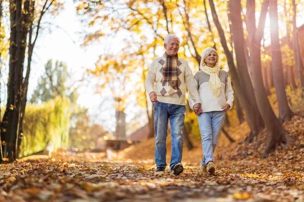 Coppia Senior Nel Parco Autunnale — Foto Stock