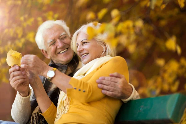 Casal Sênior Parque Outono — Fotografia de Stock