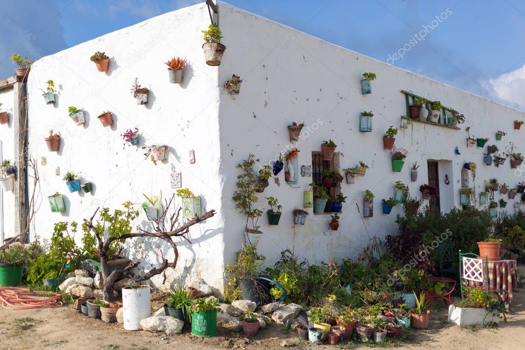 Flowerpots on the walls of Vejer De La Frontera, Spain
