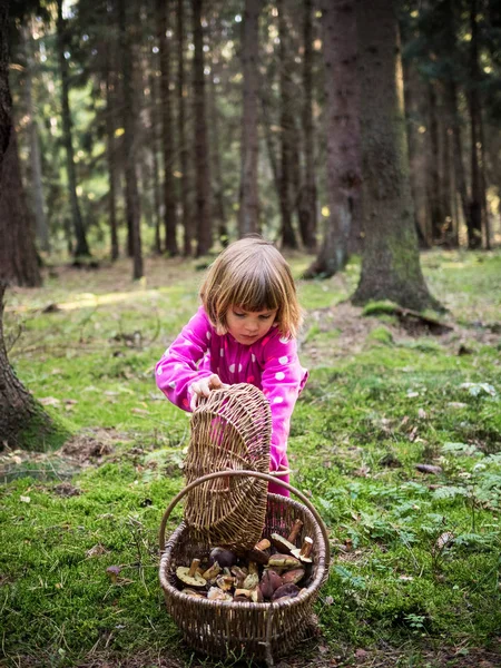 Menina Com Uma Cesta Cogumelos Floresta — Fotografia de Stock