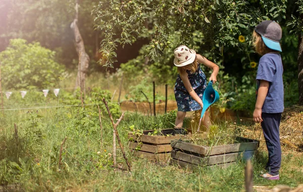 Niños Plantando Verduras Jardín — Foto de Stock