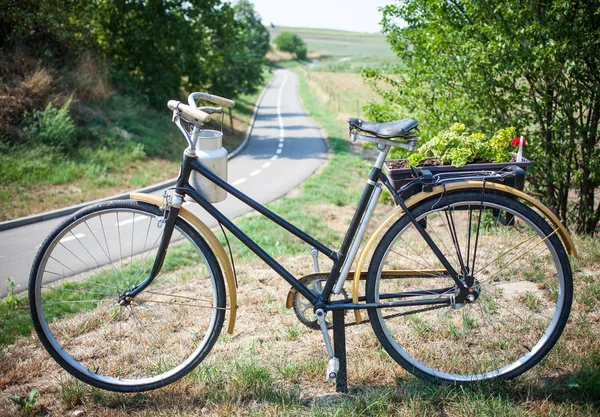 Bicicleta Estrada Vazia República Checa — Fotografia de Stock