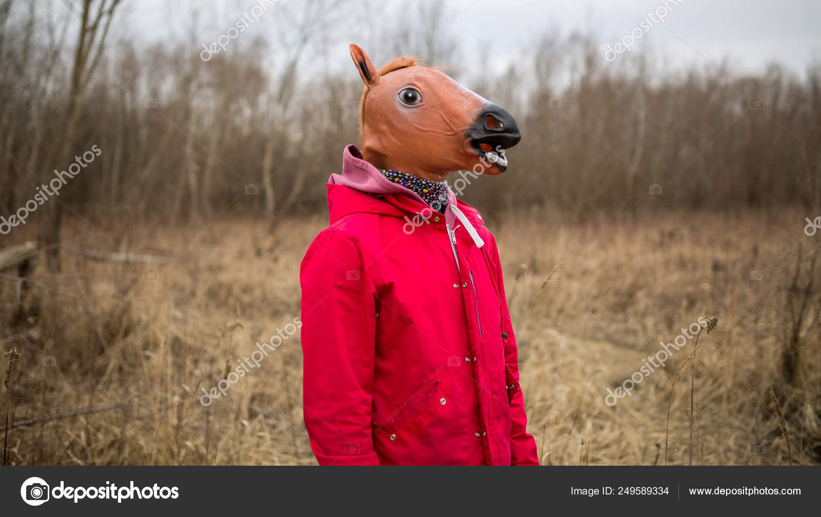 Download Á Horse Face Mask Stock Images Royalty Free Horse Mask Photos Download On Depositphotos PSD Mockup Templates
