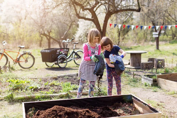 Zwei Kleine Mädchen Gärtnern Städtischen Gemeinschaftsgarten — Stockfoto