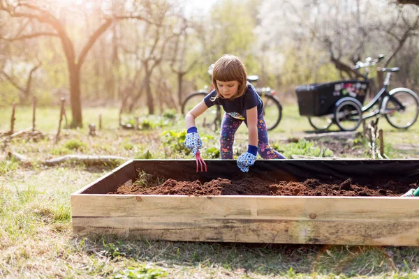 Linda Niña Disfrutar Jardinería Jardín Comunitario Urbano —  Fotos de Stock