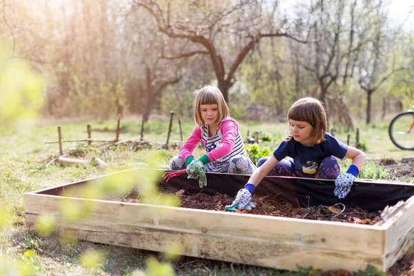 Twee Kleine Meisjes Tuinieren Stedelijke Gemeenschapstuin — Stockfoto