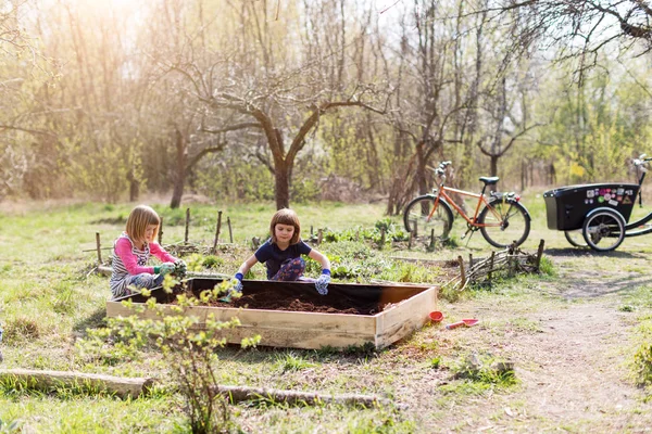 Twee Kleine Meisjes Tuinieren Stedelijke Gemeenschapstuin — Stockfoto