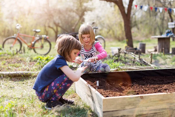 Duas Meninas Jardinagem Jardim Comunitário Urbano — Fotografia de Stock