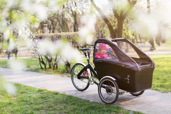 Kids Sitting Cargo Bike Nature — Stock Photo, Image