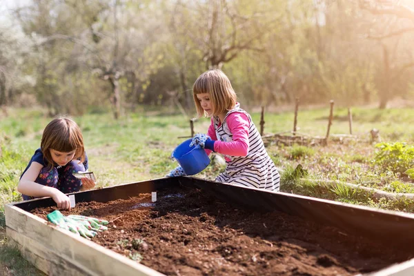 Twee Kleine Meisjes Tuinieren Stedelijke Gemeenschapstuin — Stockfoto