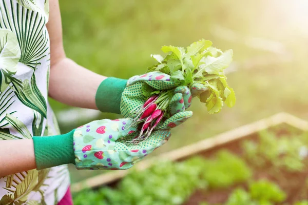 Close up of a woman gardening