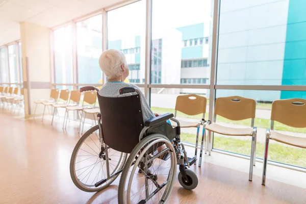 Retrato Una Anciana Sentada Silla Ruedas — Foto de Stock