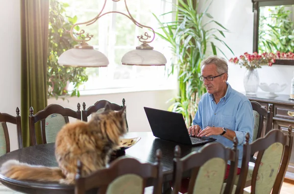 Senior Man Die Thuis Aan Laptop Werkt — Stockfoto