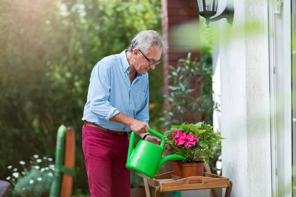 Hombre Retirado Regando Plantas Jardín —  Fotos de Stock