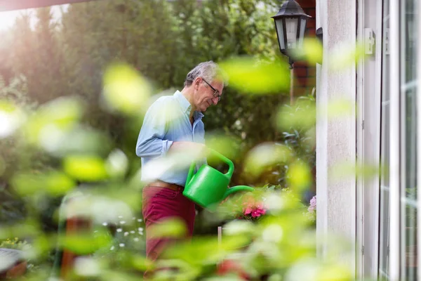 Rentner Gießt Pflanzen Garten — Stockfoto