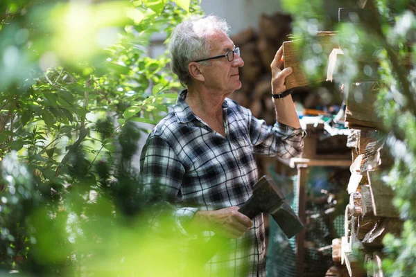 Senior Mann Beim Baumstammschneiden Arbeiten Garten Schwerpunkt Axt — Stockfoto