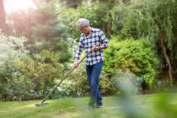 Senior Harkt Herbstlaub Hinterhof — Stockfoto