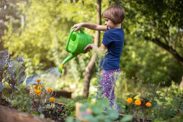 Menina Bonito Desfrutar Jardinagem Jardim Comunidade Urbana — Fotografia de Stock