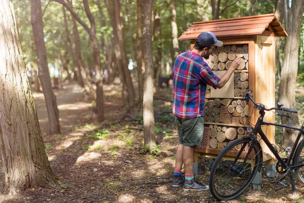 Hombre Reparando Insecto Hotel Bosque — Foto de Stock