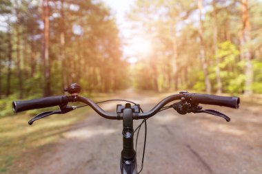 Sonbahar ormanında bisiklet