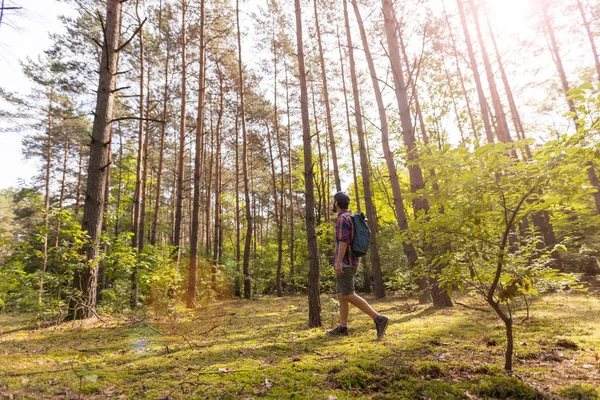 Young Man Hiking Forest — Stock Photo, Image