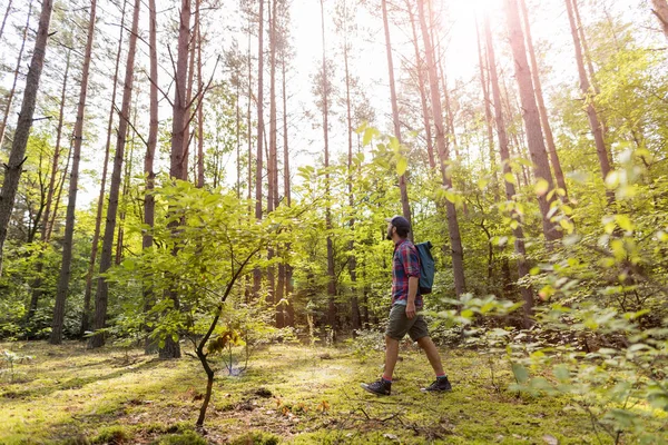 Young Man Hiking Forest — Stock Photo, Image