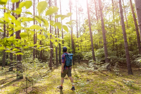 Mladý Muž Pěší Turistika Lese — Stock fotografie