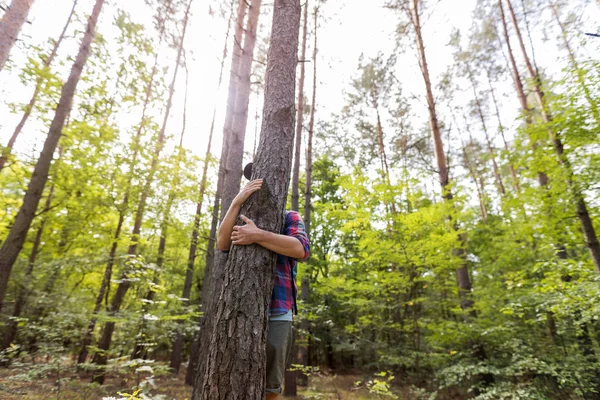 人类在森林里拥抱树 免版税图库照片