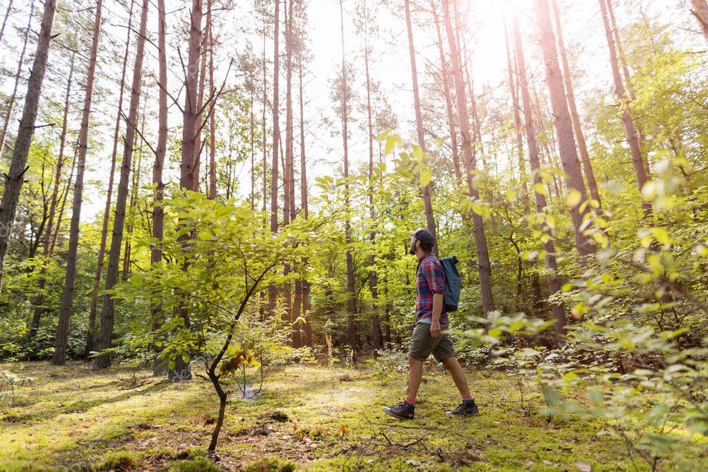 Young man hiking in the forest