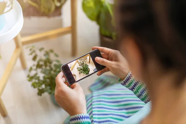 Γυναίκα Λήψη Φωτογραφία Της Γλάστρες Φυτό Smartphone Της — Φωτογραφία Αρχείου