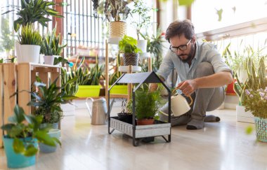 Evde saksı bitkileri bakımı Adam