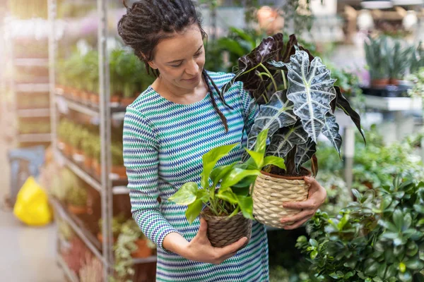 Femme Faisant Shopping Dans Magasin Plantes — Photo