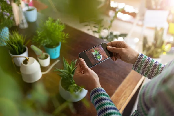 Kvinna Som Tar Foto Kruk Växt Med Sin Smartphone — Stockfoto