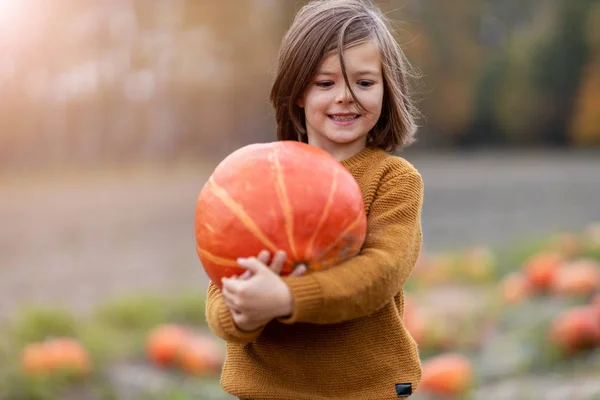 Cute Little Boy Having Fun Pumpkin Patch — Stock Photo, Image