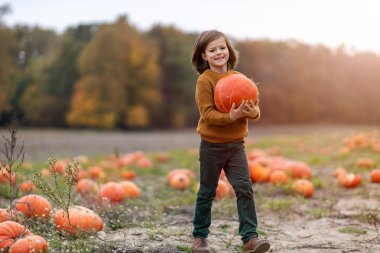 Tatlı küçük çocuk balkabağı tarlasında eğleniyor.