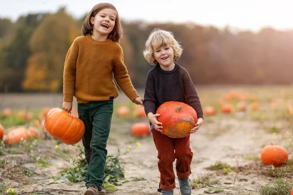 Två Små Pojkar Har Kul Pumpa Patch — Stockfoto